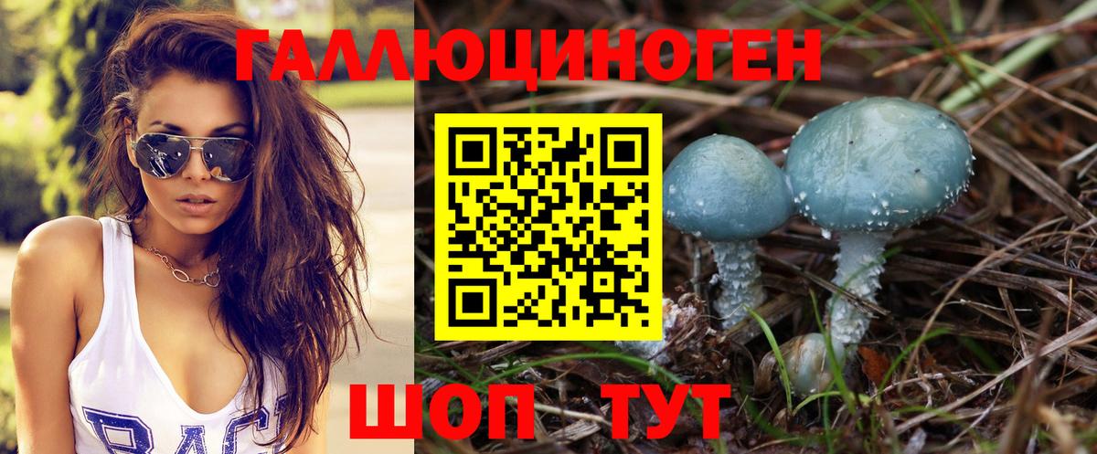 Псилоцибиновые грибы Psilocybine cubensis  Вход с VPN  Белорецк 